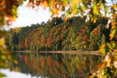 Mentioned in: Rhinelander fall color guide | Fall Color on display