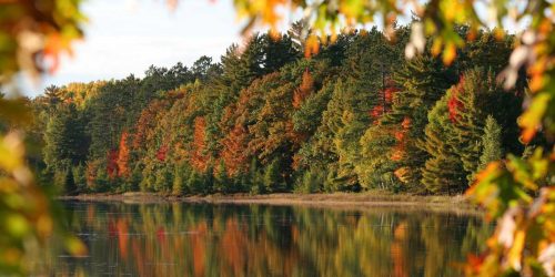 Rhinelander fall color guide | Fall Color on display