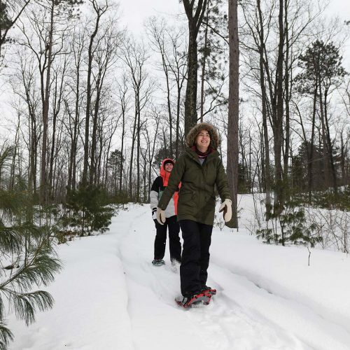 Link to Snowshoeing