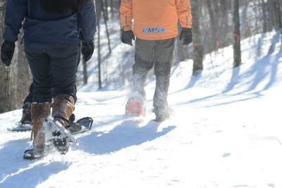 Your Rhinelander winter recreation guide | Click the link to visit this page