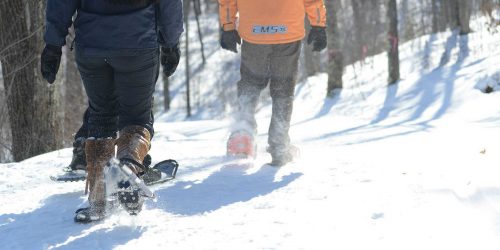 Rhinelander snow conditions report | People snowshoeing in winter