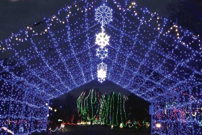 Business: Lights of the Northwoods