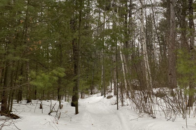 Mud Lake Trails