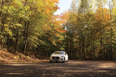 Find fall fun on Rhinelander’s recreational trails | Click the link to visit this page