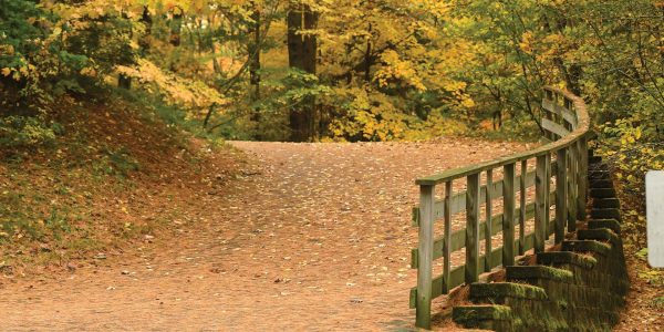 E-newsletter Signup | Fall color trail at Almon County Park