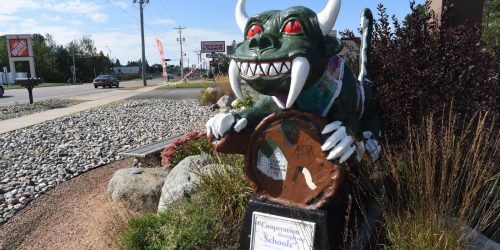 The Hodag Store at B & B Resale | Click the link to visit this page