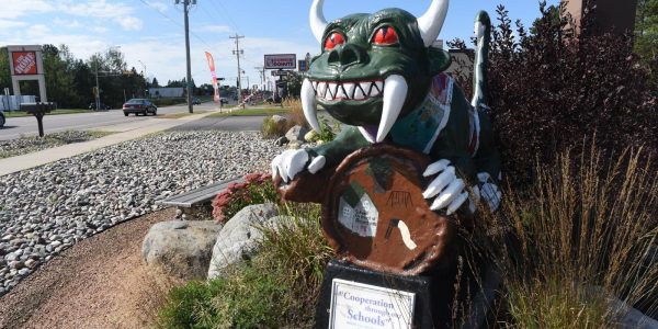 Rhinelander District Library | Click the link to visit this page