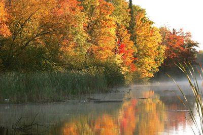 How to enjoy fall color season in Rhinelander | Click the link to visit this page