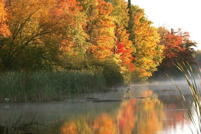 Recomended Article: How to enjoy fall color season in Rhinelander | Fall Color