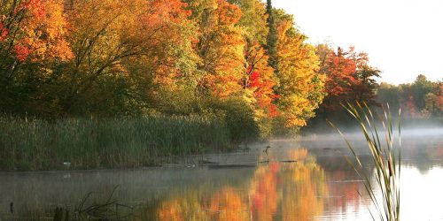 How to enjoy fall color season in Rhinelander | Fall Color