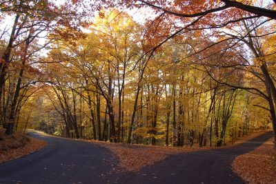 Article: Discover these fall color routes in the Rhinelander Area | Fall Color Routes