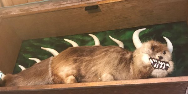 Hodag at Pioneer Park Historical Complex