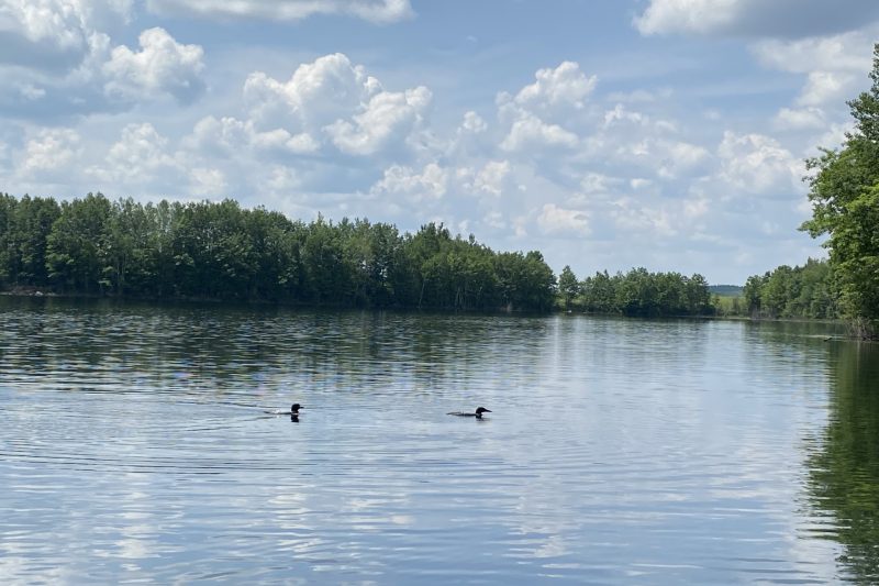 Hanson Lake | Hanson Lake
