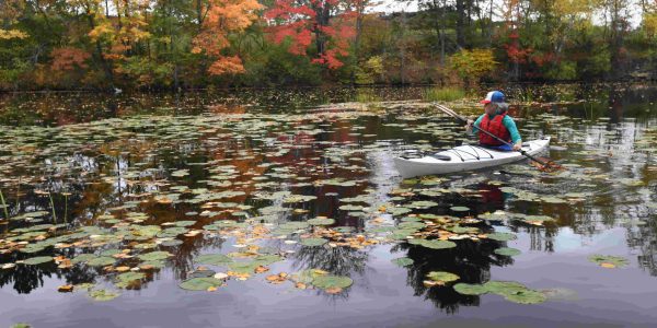 Paddling - Canoeing, kayaking & stand-up paddleboarding | River Trail Rhinelander 2110045136