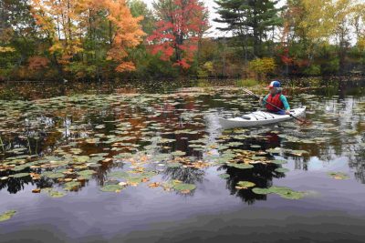 Featured Article: Favorite Fall Paddling Locations in Rhinelander | River Trail Rhinelander