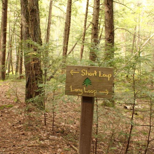 Parks & Trails | Holmboe Nature Preserve Rhinelander