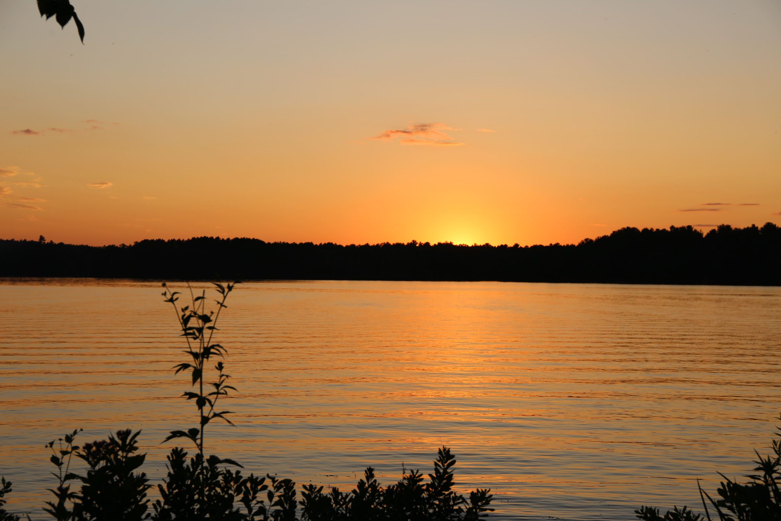 Legendary Sights in Rhinelander, WI - Rhinelander, Wisconsin ...