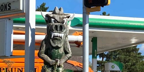 The Hodag Store | Click the link to visit this page