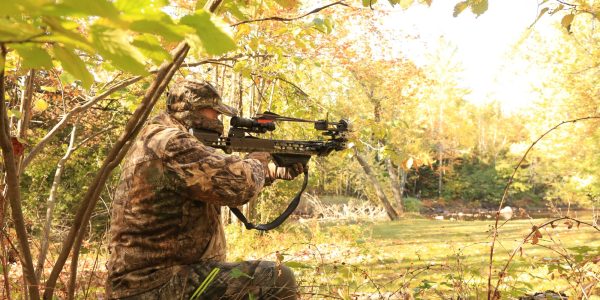 Hunting - Deer, turkey & more