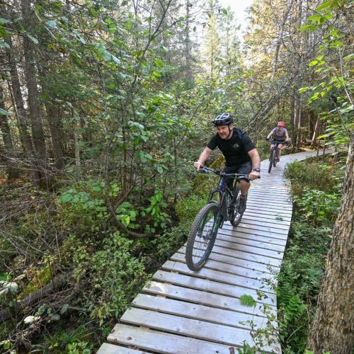 Biking | 