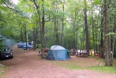 Business: Terrace View Campground
