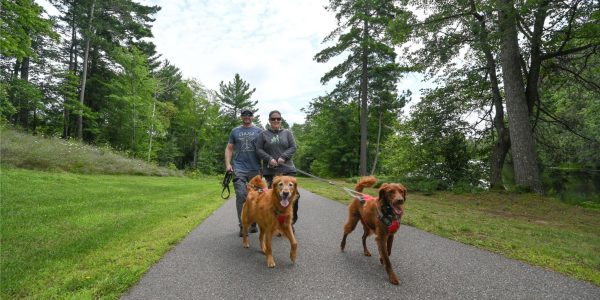A Dog-Friendly Rhinelander Getaway