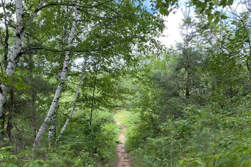 Hanson Lake Walking & Snowshoeing Trail