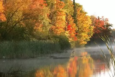 Mentioned in: How to enjoy fall color season in Rhinelander | Fall Color